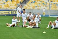 Букмекеры дали прогноз на матч Литва - Украина