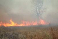 В Харьковской области на военном полигоне загорелись торфяники