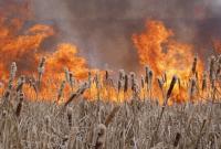 В Украине продолжается высокий уровень пожарной опасности