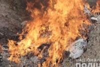 В Полтавской области сожгли наркотиков на 1,5 млн грн