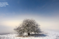 Прогноз погоды: в Украине усилятся морозы