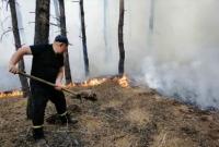 Площадь лесных пожаров в Украине за год увеличилась в 40 раз