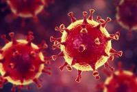 Пандемія: кількість інфікованих COVID-19 у світі вже понад 22,5 мільйонів