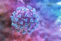 Знайдено нові осередки розмноження коронавірусу в тілі людини