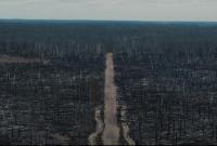 "Абсолютний апокаліпсис": наслідки пожеж під Чорнобилем зняли з дрона (відео)