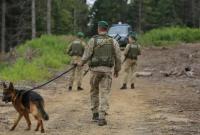 На украинского пограничника и его пса напала лиса
