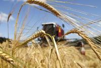 В этом году наиболее реалистичный сценарий по сбору урожая предполагает 65-68 млн тонн - Петрашко