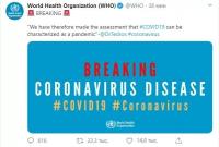ВОЗ официально объявила пандемию коронавируса