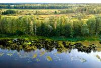 Поряд із Чорнобилем відновилася унікальна екосистема