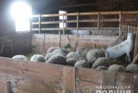 Владелец мини-зоопарка в Киевской области оставил животных без еды: полиция открыла производство