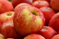 В Україні очікується надзвичайно високий урожай яблук