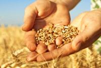 В Україні прогнозують зростання врожаю зернових у 2021 році