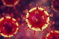 Вирусолог рассказал, как аномальная жара влияет на мутации коронавируса