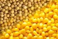 Ціни на кукурудзу та сою зросли