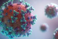 Ученые выяснили, в какой период больные коронавирусом наиболее заразные