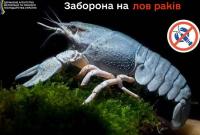 В Україні заборонили вилов раків