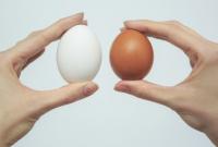 Вчені створили незвичайні веганські яйця