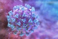 Вакцинация не поможет создать коллективный иммунитет к коронавирусу в 2021, - ВОЗ