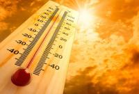 В Европе 2020 год стал самым жарким за всю историю наблюдений за погодой