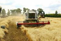 Жатва-2019: в Украине собрали 35% урожая зерновых