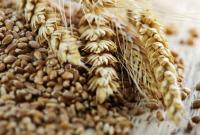 Україна значно скоротила експорт зерна