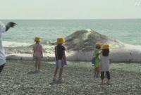 В Японии огромный кит выбросился на берег